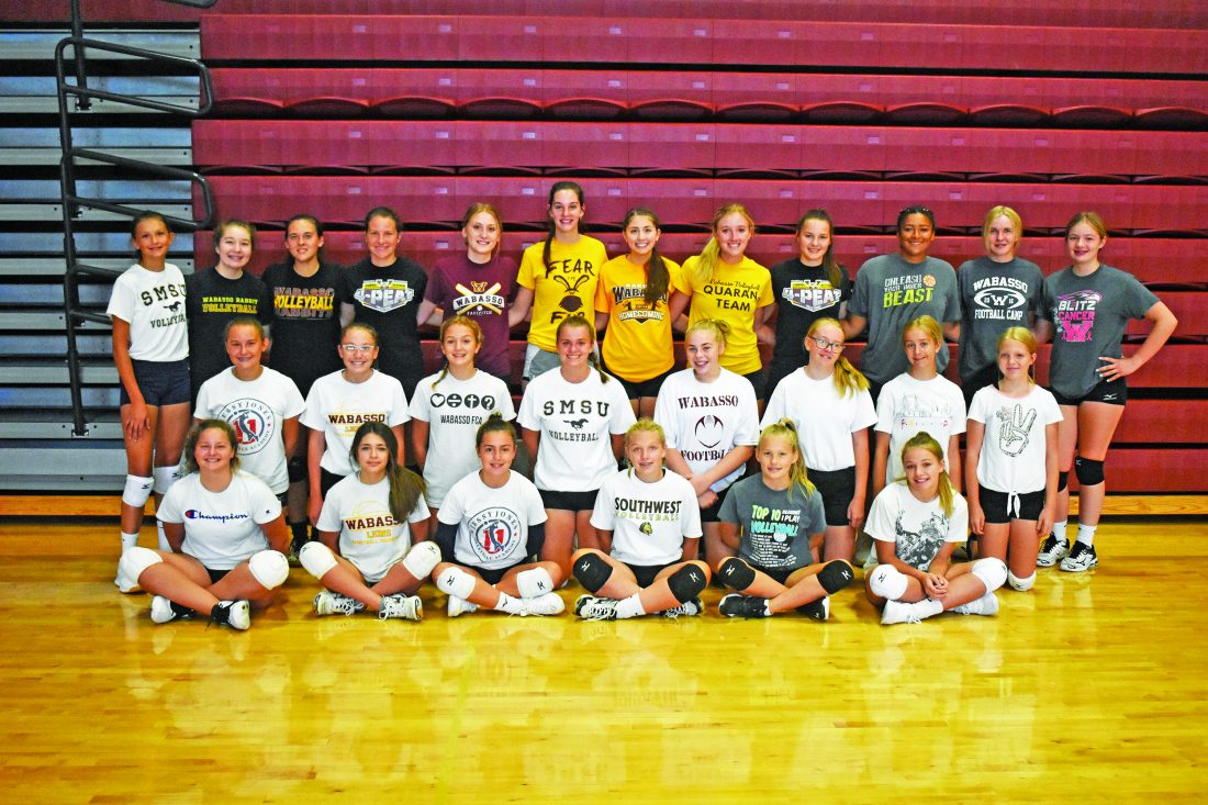 FALL PREVIEW Rabbits look to bounce back in 2021 News, Sports, Jobs